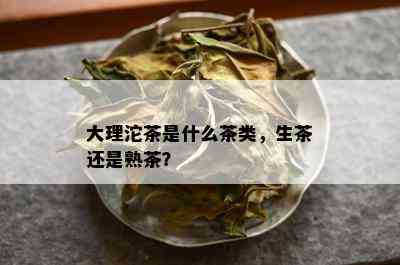 大理沱茶是什么茶类，生茶还是熟茶？