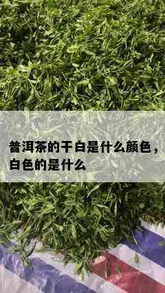 普洱茶的干白是什么颜色，白色的是什么