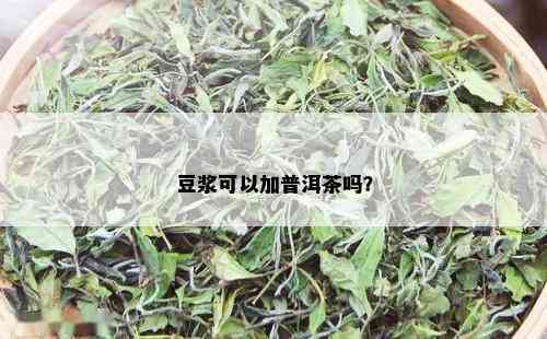 豆浆可以加普洱茶吗？