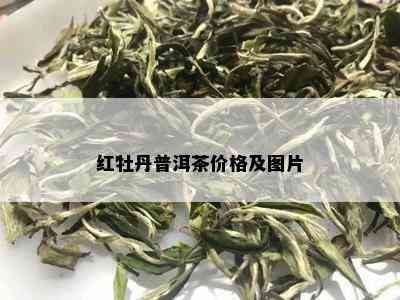 红牡丹普洱茶价格及图片