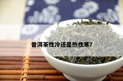 普洱茶性冷还是热性寒？