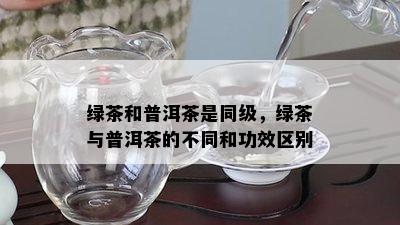 绿茶和普洱茶是同级，绿茶与普洱茶的不同和功效区别