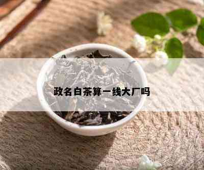 政名白茶算一线大厂吗