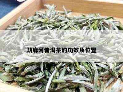 勐麻河普洱茶的功效及位置