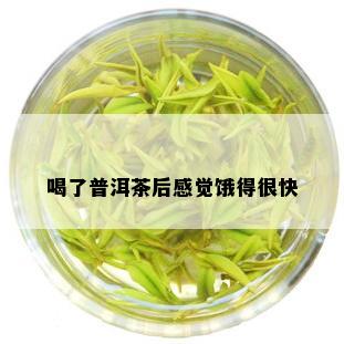 喝了普洱茶后感觉饿得很快