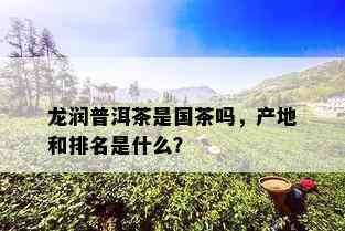 龙润普洱茶是国茶吗，产地和排名是什么？