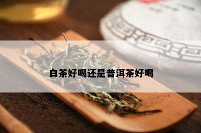 白茶好喝还是普洱茶好喝