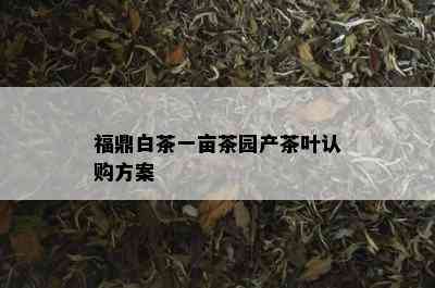 福鼎白茶一亩茶园产茶叶认购方案