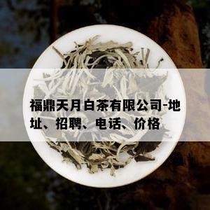 福鼎天月白茶有限公司-地址、招聘、电话、价格