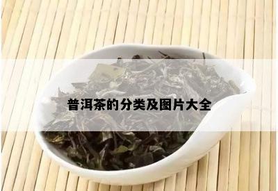 普洱茶的分类及图片大全