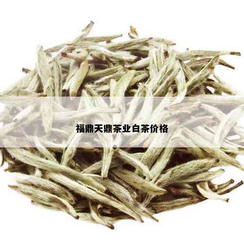 福鼎天鼎茶业白茶价格