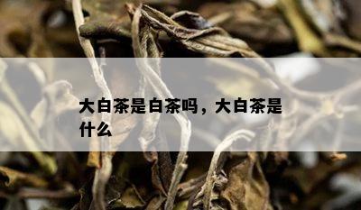 大白茶是白茶吗，大白茶是什么