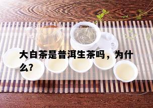 大白茶是普洱生茶吗，为什么？