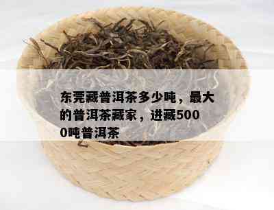 东莞藏普洱茶多少吨，更大的普洱茶藏家，进藏5000吨普洱茶