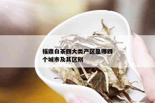 福鼎白茶四大类产区是哪四个城市及其区别