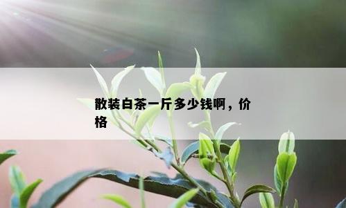 散装白茶一斤多少钱啊，价格