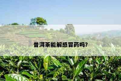 普洱茶能解感冒吗？