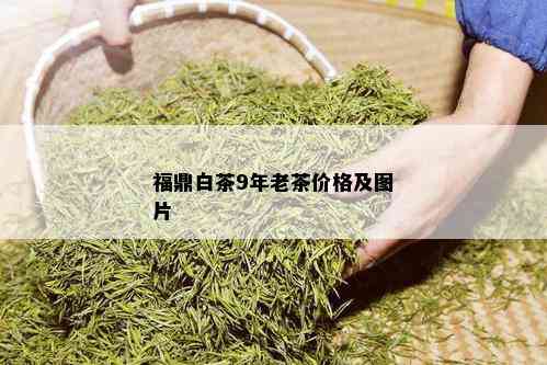 福鼎白茶9年老茶价格及图片