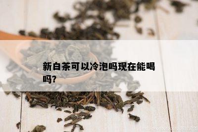 新白茶可以冷泡吗现在能喝吗？