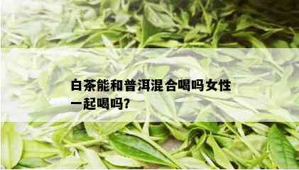 白茶能和普洱混合喝吗女性一起喝吗？