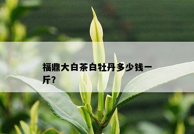 福鼎大白茶白牡丹多少钱一斤？