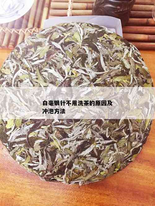 白毫银针不用洗茶的原因及冲泡方法