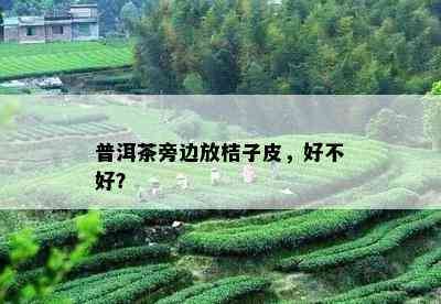 普洱茶旁边放桔子皮，好不好？