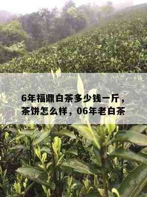 6年福鼎白茶多少钱一斤，茶饼怎么样，06年老白茶