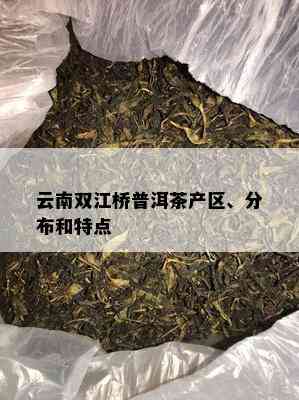 云南双江桥普洱茶产区、分布和特点