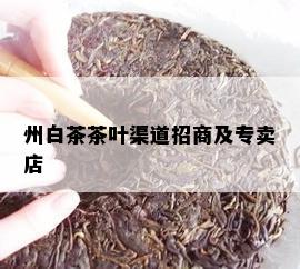 州白茶茶叶渠道招商及专卖店