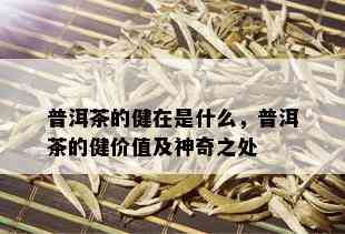 普洱茶的健在是什么，普洱茶的健价值及神奇之处