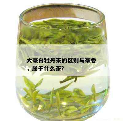 大毫白牡丹茶的区别与毫香，属于什么茶？