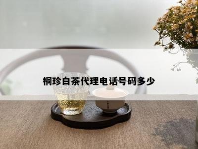 桐珍白茶代理电话号码多少