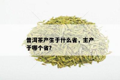 普洱茶产生于什么省，主产于哪个省？