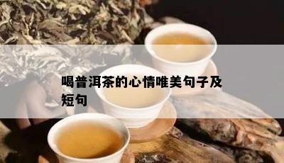 喝普洱茶的心情唯美句子及短句