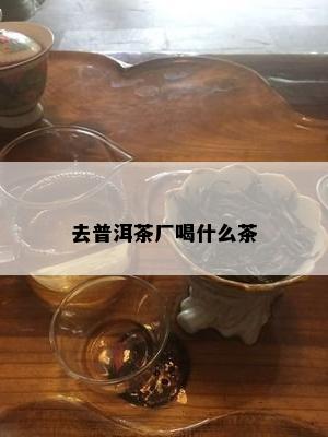 去普洱茶厂喝什么茶