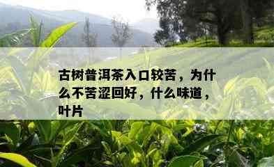 古树普洱茶入口较苦，为什么不苦涩回好，什么味道，叶片