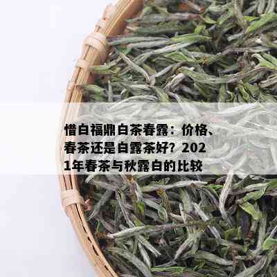 惜白福鼎白茶春露：价格、春茶还是白露茶好？2021年春茶与秋露白的比较