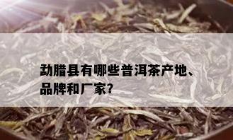 勐腊县有哪些普洱茶产地、品牌和厂家？