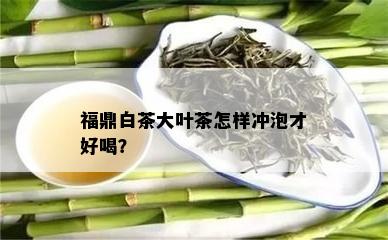 福鼎白茶大叶茶怎样冲泡才好喝？