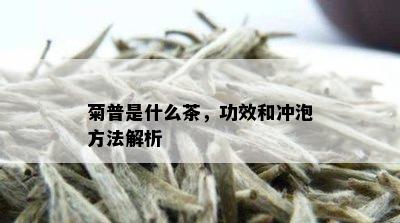 菊普是什么茶，功效和冲泡方法解析