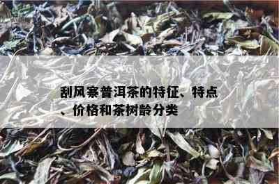 刮风寨普洱茶的特征、特点、价格和茶树龄分类