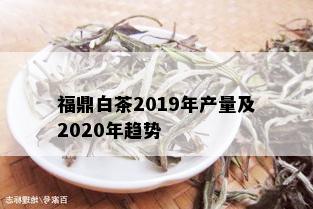 福鼎白茶2019年产量及2020年趋势