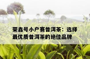 荣鑫号小户赛普洱茶：选择更优质普洱茶的绝佳品牌