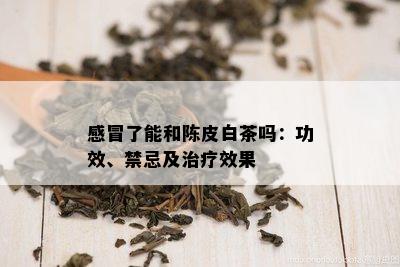 感冒了能和陈皮白茶吗：功效、禁忌及治疗效果