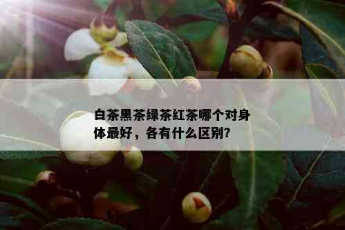 白茶黑茶绿茶红茶哪个对身体更好，各有什么区别？