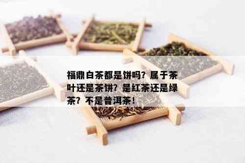 福鼎白茶都是饼吗？属于茶叶还是茶饼？是红茶还是绿茶？不是普洱茶！