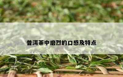 普洱茶中磨烈的口感及特点