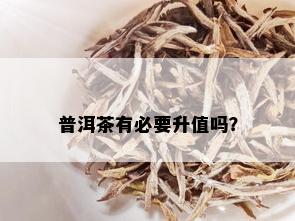 普洱茶有必要升值吗？