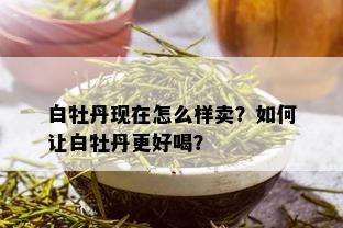 白牡丹现在怎么样卖？如何让白牡丹更好喝？